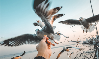 Woman looking at the Eiffel Tower