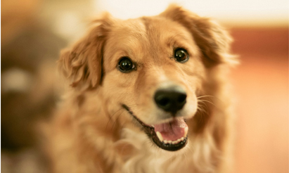 Colorful houses in Argentina
